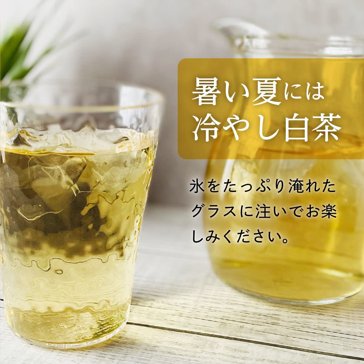 【送料無料】HITOIKI 白茶 ティーバッグ (白茶金木犀ブレンド, (2gx15T) 1袋) 福鼎白茶 中国茶 日本基準茶葉加工 茶園提携